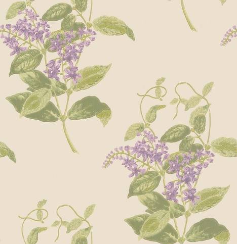 Madras Violet Wallcovering by Cole & Son 
