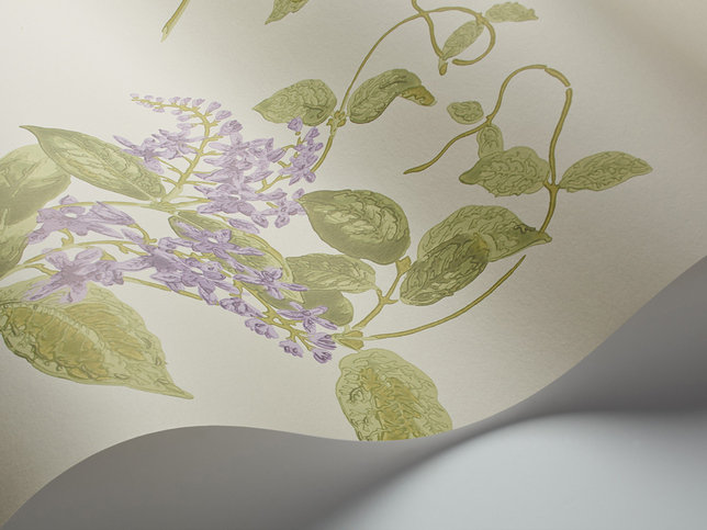 Madras Violet Wallcovering by Cole & Son 