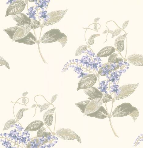 Madras Violet Wallcovering by Cole & Son 