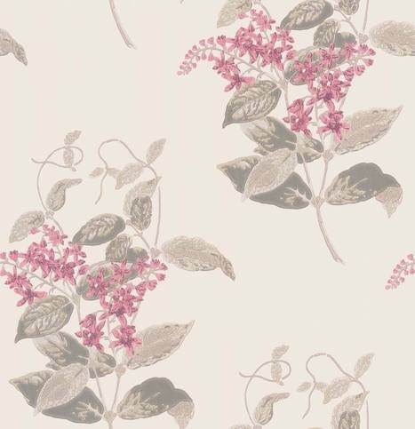 Madras Violet Wallcovering by Cole & Son 