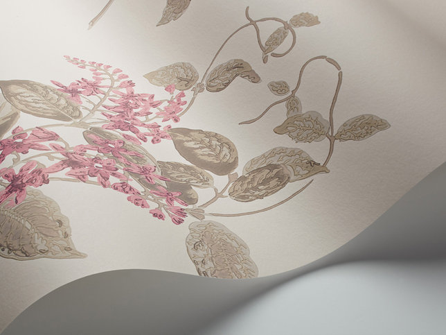 Madras Violet Wallcovering by Cole & Son 