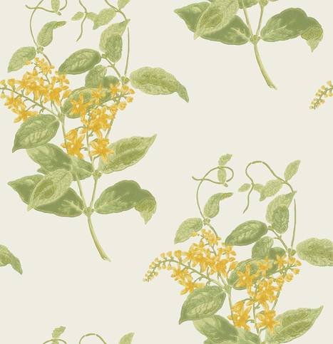 Madras Violet Wallcovering by Cole & Son 