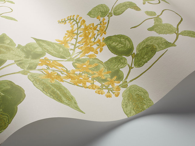 Madras Violet Wallcovering by Cole & Son 