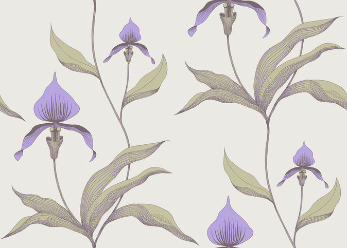 Orchid Wallcovering by Cole & Son 