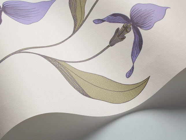 Orchid Wallcovering by Cole & Son 
