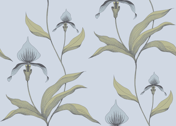Orchid Wallcovering by Cole & Son 