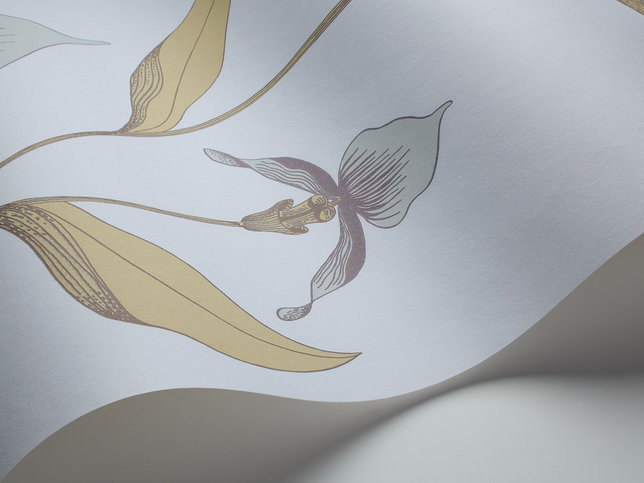 Orchid Wallcovering by Cole & Son 