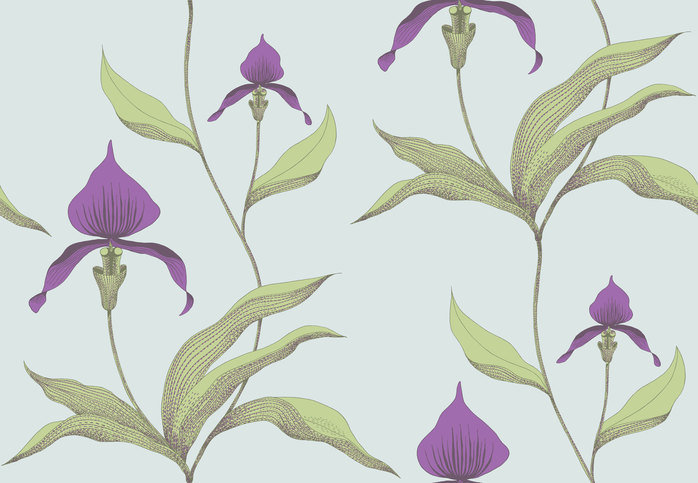 Orchid Wallcovering by Cole & Son 