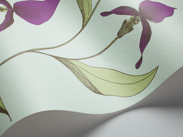 Orchid Wallcovering by Cole & Son 