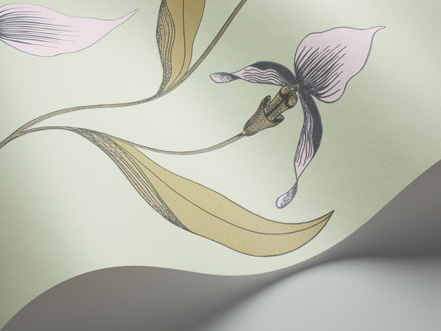 Orchid Wallcovering by Cole & Son 