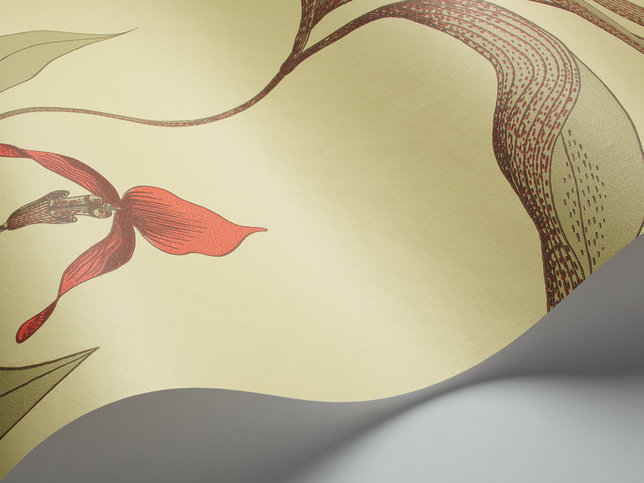 Orchid Wallcovering by Cole & Son 