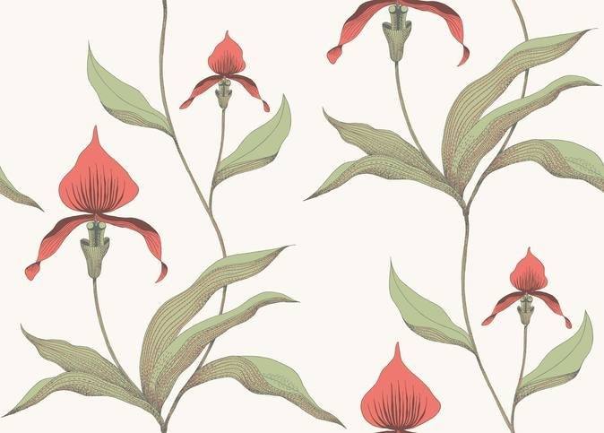 Orchid Wallcovering by Cole & Son 