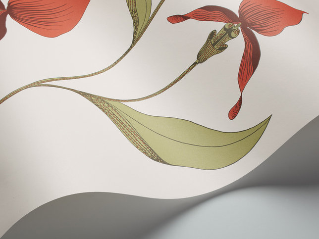 Orchid Wallcovering by Cole & Son 