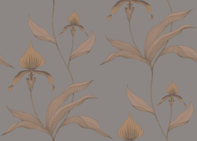 Orchid Wallcovering by Cole & Son 