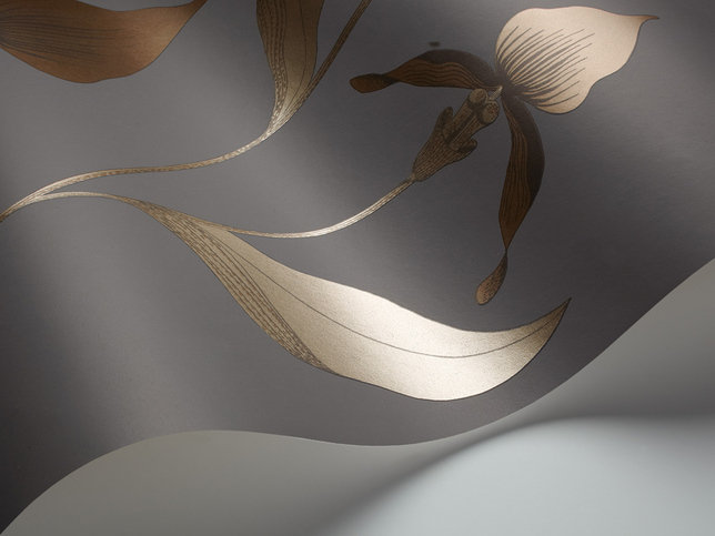 Orchid Wallcovering by Cole & Son 