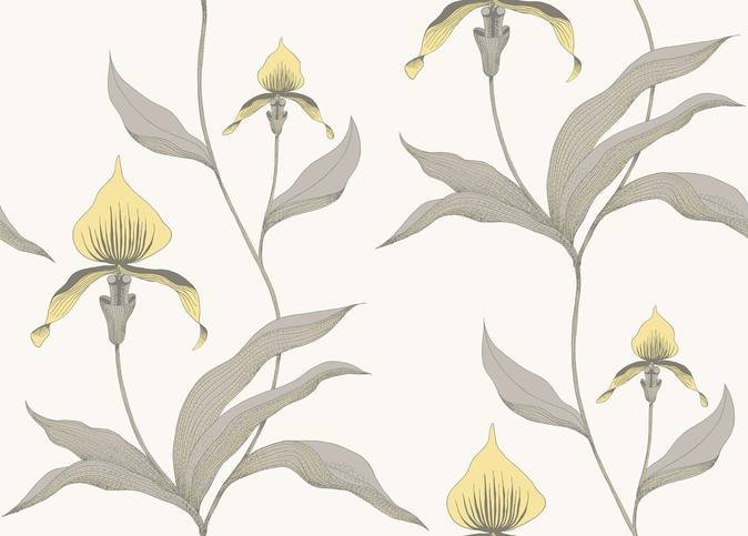Orchid Wallcovering by Cole & Son 