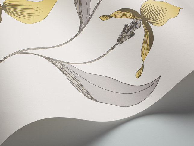 Orchid Wallcovering by Cole & Son 