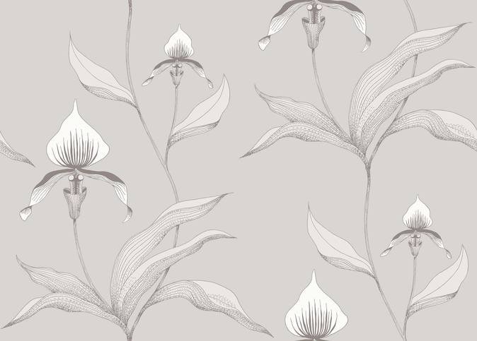 Orchid Wallcovering by Cole & Son 