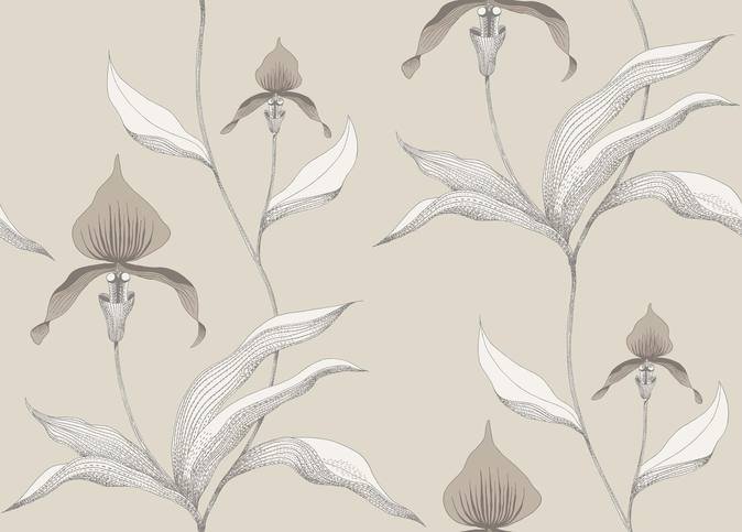 Orchid Wallcovering by Cole & Son 