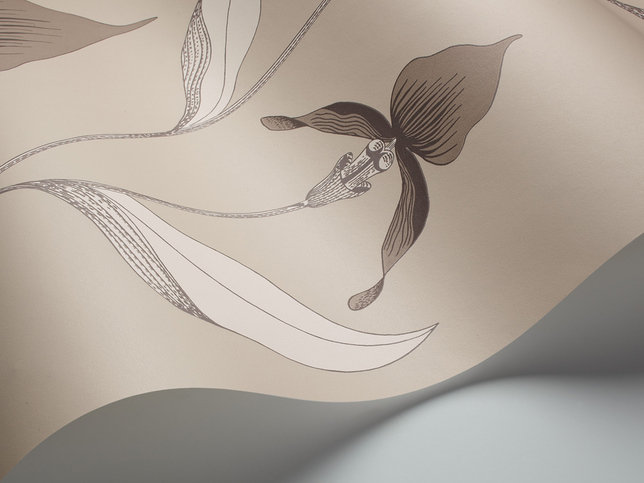Orchid Wallcovering by Cole & Son 