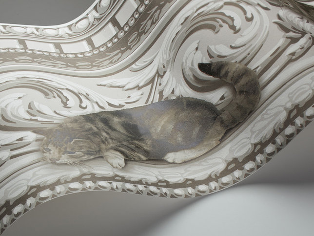 Paddy & Louis Border Wallcovering by Cole & Son 