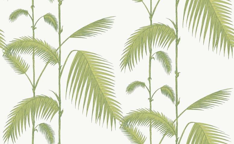 Palm Leaves Wallcovering by Cole & Son 