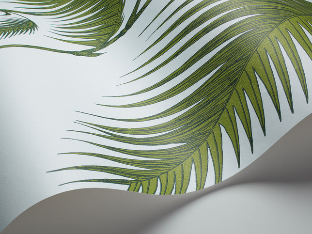 Palm Leaves Wallcovering by Cole & Son 
