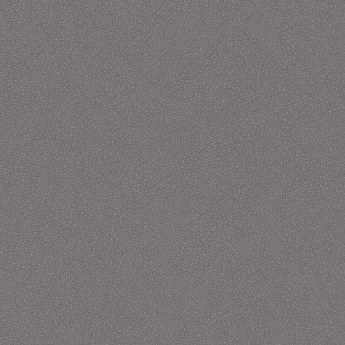 Pebble Wallcovering by Cole & Son 