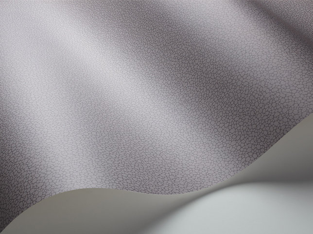 Pebble Wallcovering by Cole & Son 