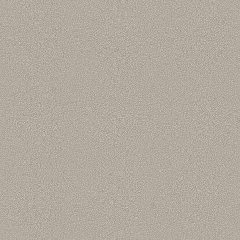 Pebble Wallcovering by Cole & Son 