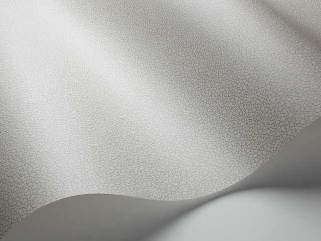 Pebble Wallcovering by Cole & Son 