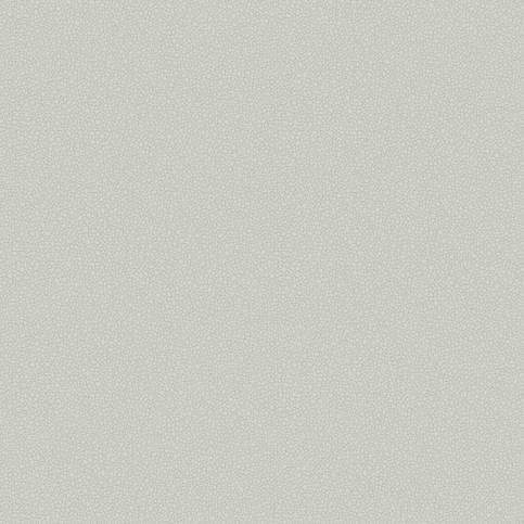 Pebble Wallcovering by Cole & Son 