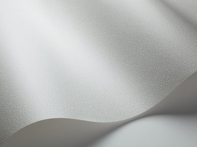 Pebble Wallcovering by Cole & Son 
