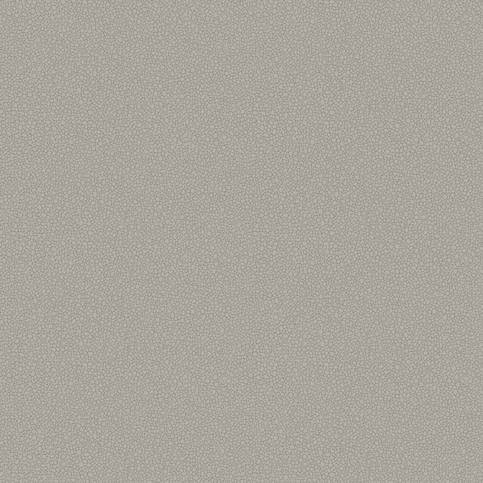 Pebble Wallcovering by Cole & Son 