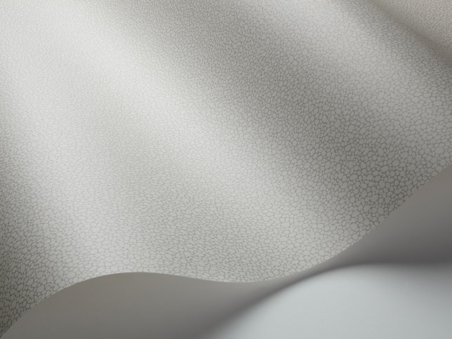 Pebble Wallcovering by Cole & Son 