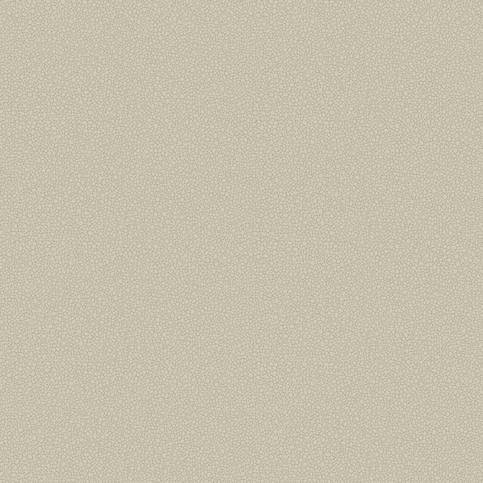 Pebble Wallcovering by Cole & Son 