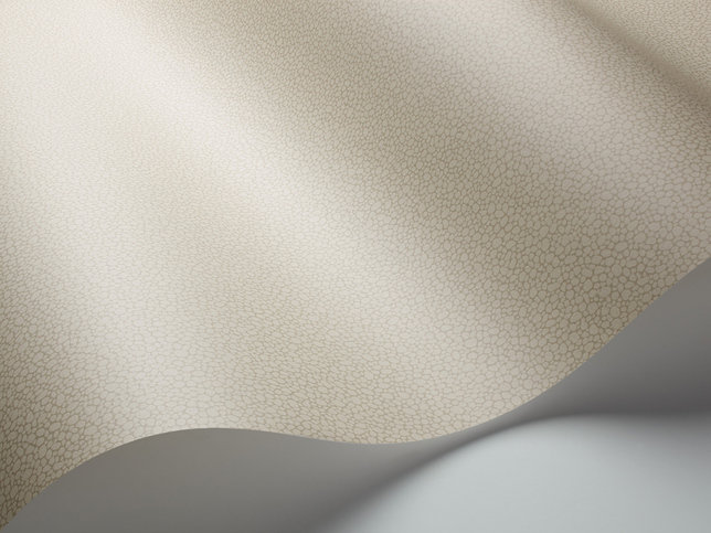 Pebble Wallcovering by Cole & Son 