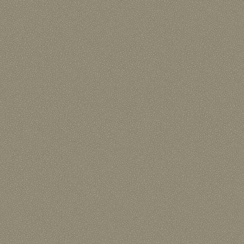 Pebble Wallcovering by Cole & Son 