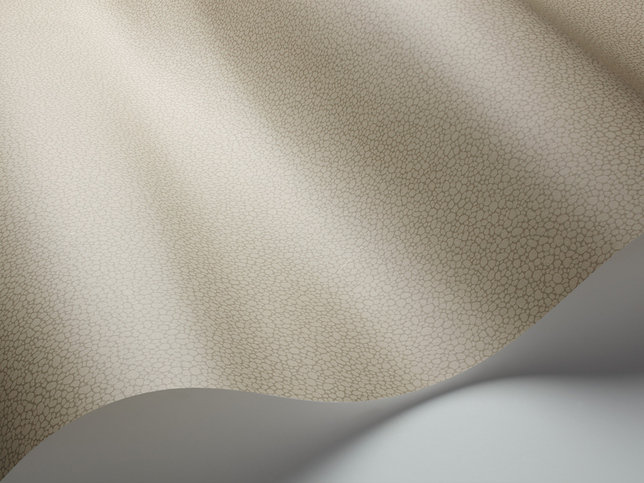 Pebble Wallcovering by Cole & Son 