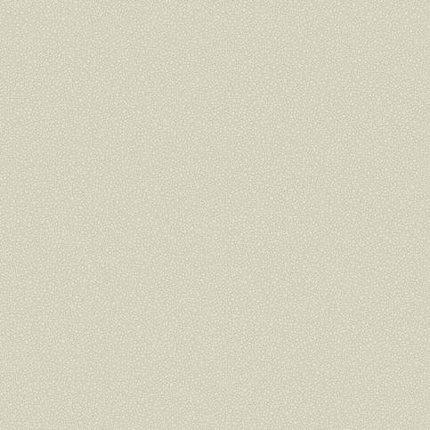 Pebble Wallcovering by Cole & Son 