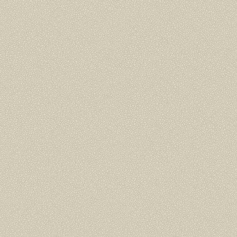 Pebble Wallcovering by Cole & Son 
