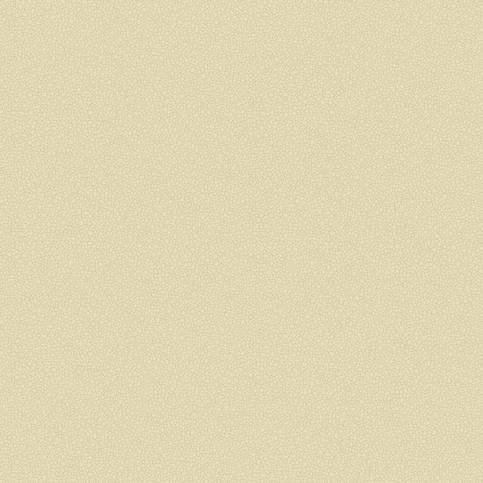 Pebble Wallcovering by Cole & Son 