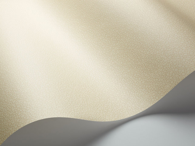 Pebble Wallcovering by Cole & Son 