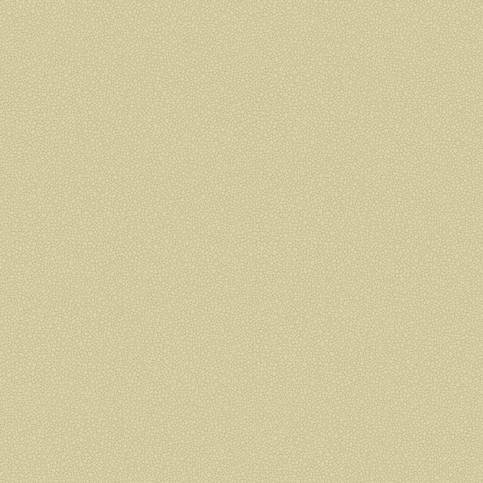 Pebble Wallcovering by Cole & Son 
