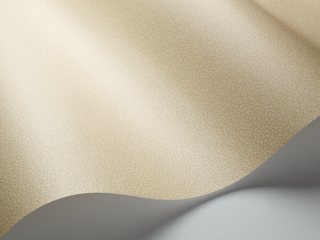 Pebble Wallcovering by Cole & Son 