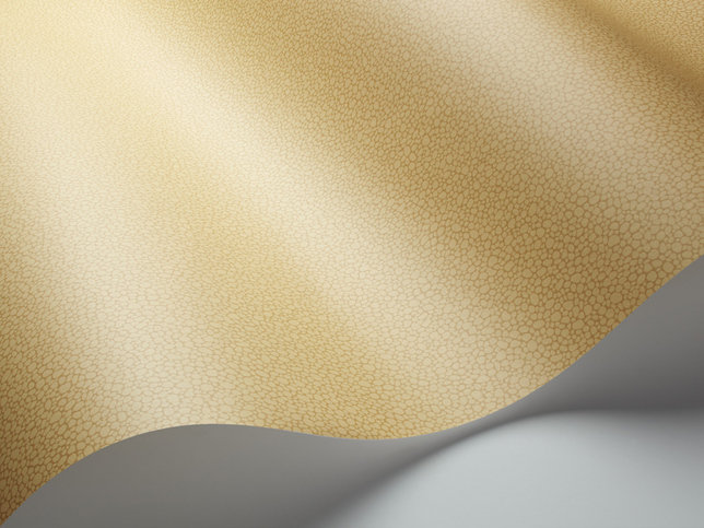Pebble Wallcovering by Cole & Son 