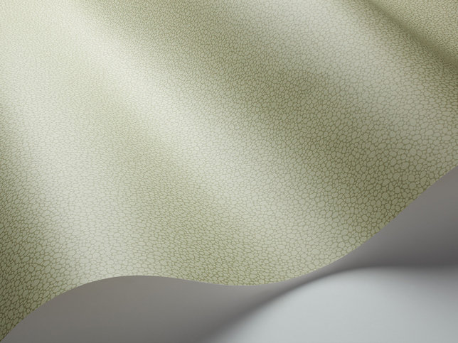 Pebble Wallcovering by Cole & Son 