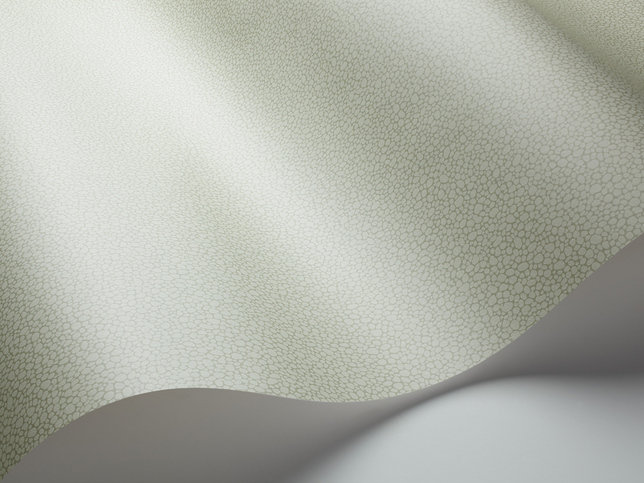 Pebble Wallcovering by Cole & Son 