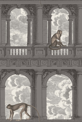 Procuratie con Vista Wallcovering by Cole & Son 