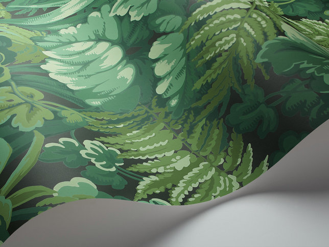 Royal Fernery Wallcovering by Cole & Son 